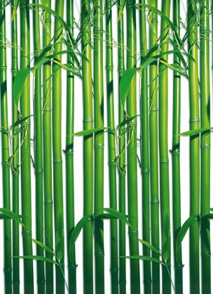 Fototapete -  Bambus - Bamboo Wall 4 part - Klicken fr grssere Ansicht