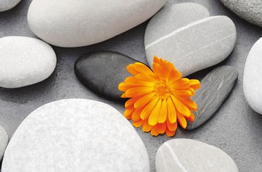 Fototapete - Riesenposter - A heart among Stones - Klicken fr grssere Ansicht